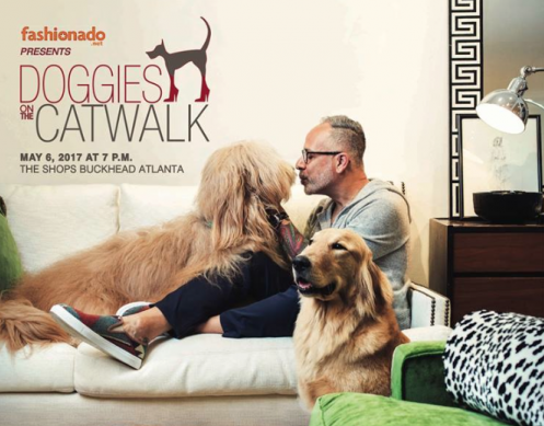 Doggies On The Catwalk