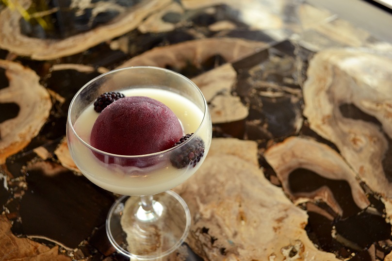 Hyatt Regency Atlanta’s Exclusive Eclipse-Day Cocktail