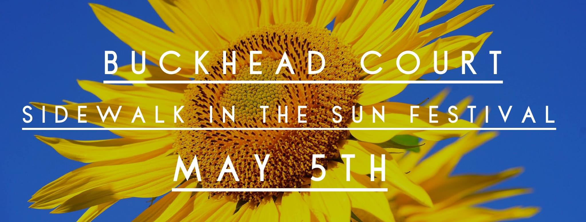 Sidewalk in the Sun Festival