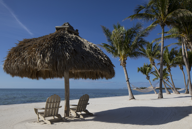  Erschwinglichen Trending Fotografie Kulissen Hintergründe Backdrops
