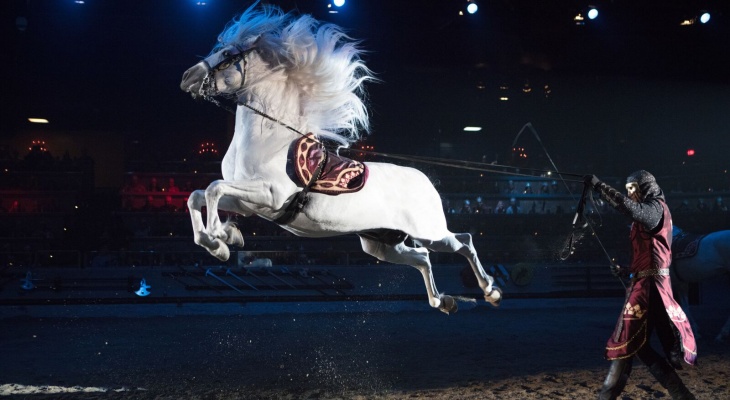 Medieval Times Valentine’s Day Package