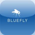 Bluefly