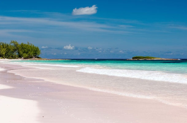 Pink Sand Beaches