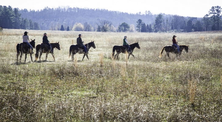 Free night at Barnsley Resort