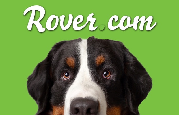 How To Find a Qualified Pet Sitter Online