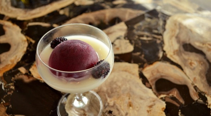 Hyatt Regency Atlanta’s Exclusive Eclipse-Day Cocktail